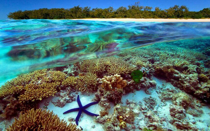 View Of The Great Barrier Reef in Australia