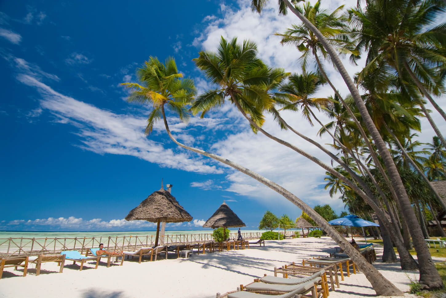 Palapas and palm trees at the beach