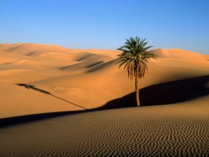 Sahara in Libya-Sahara desert tourism destinations