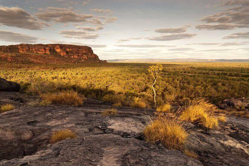 landscape of Darwin, Australia