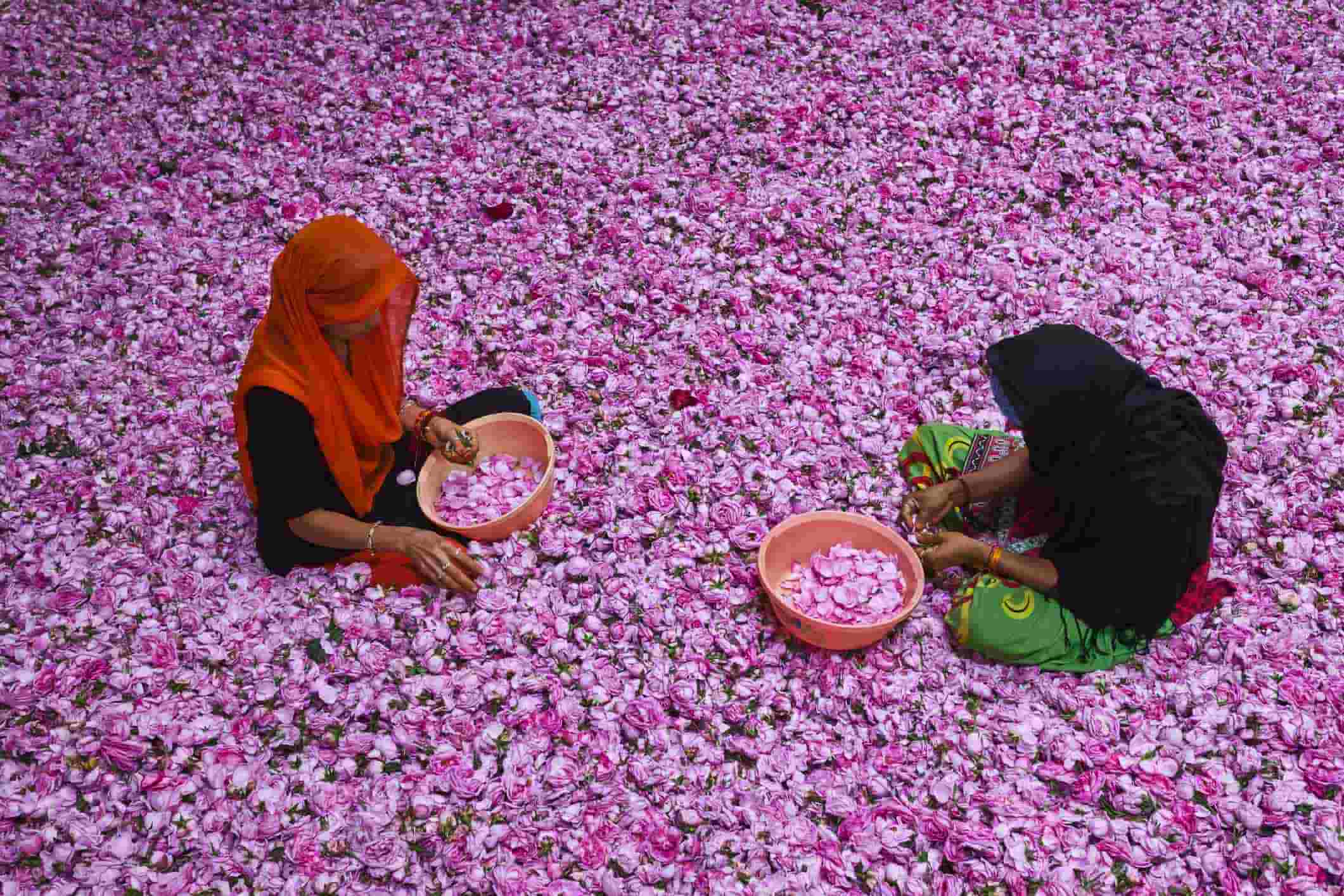 India-Uttar-Pradesh