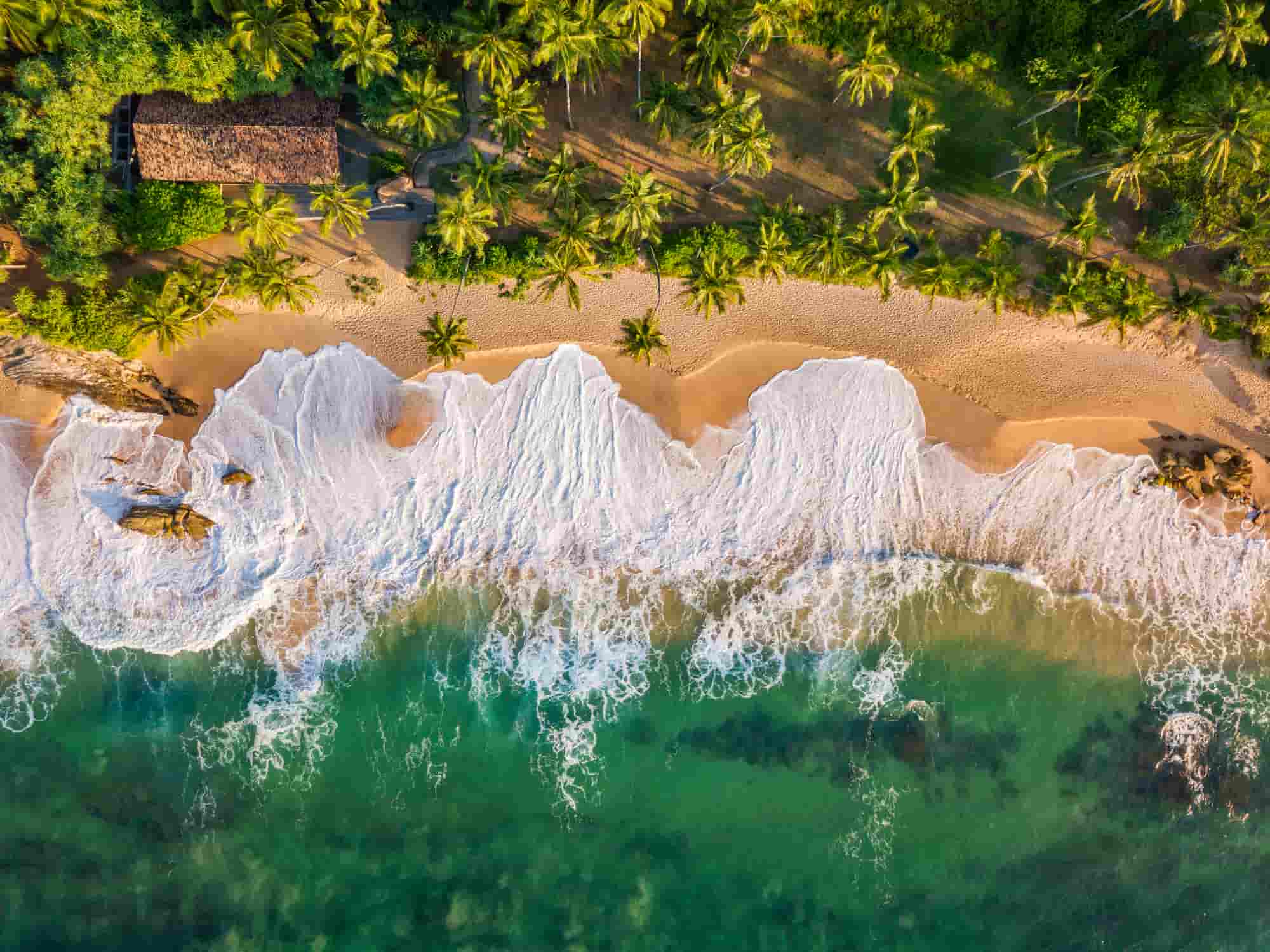 Sri Lankan beach