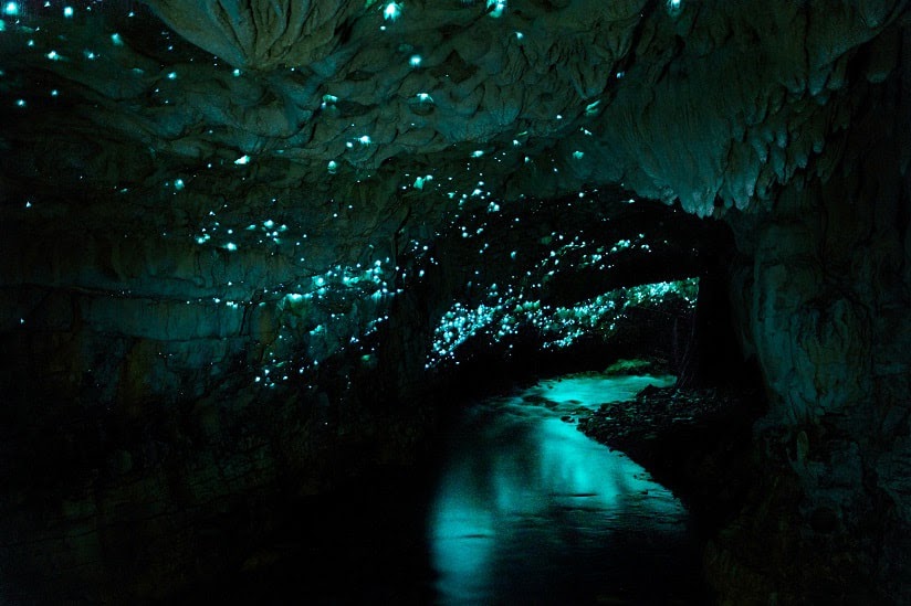 underground glowworms New Zealand