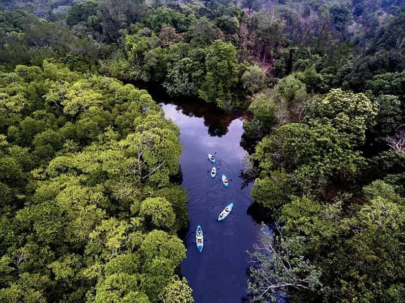 overview of a river in Cambodia