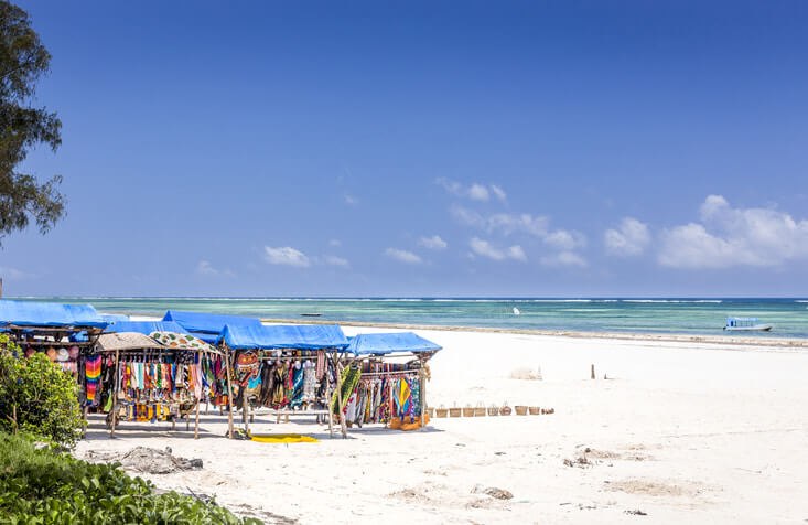 Kenyan Beach Landscape