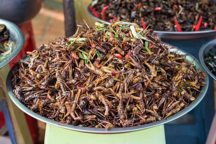 unusual food in Cambodia