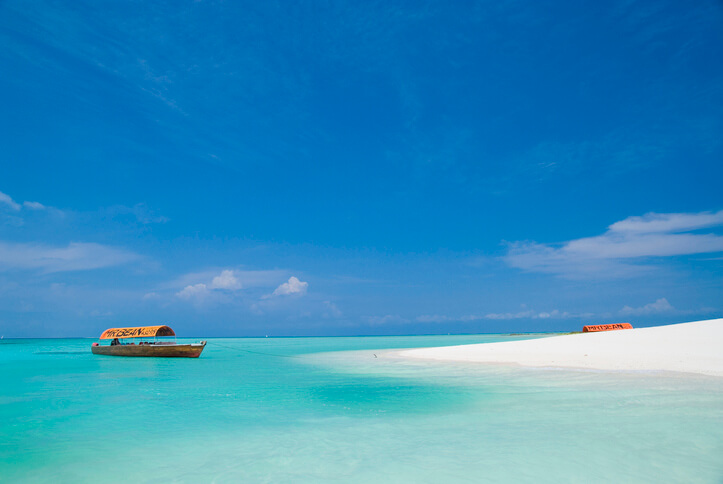 Zanzibar beach landscape