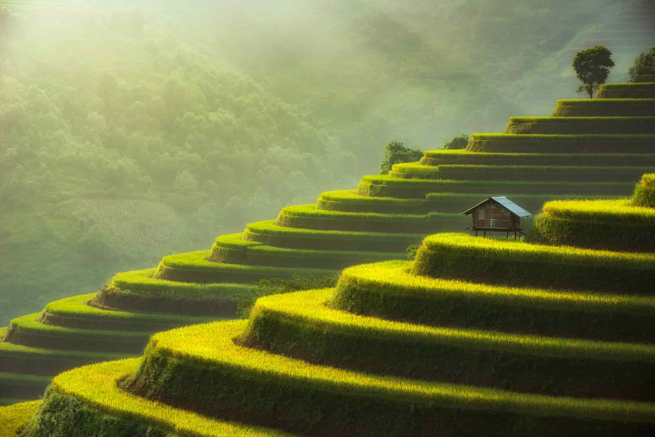 Mu Cang Chai, Vietnam