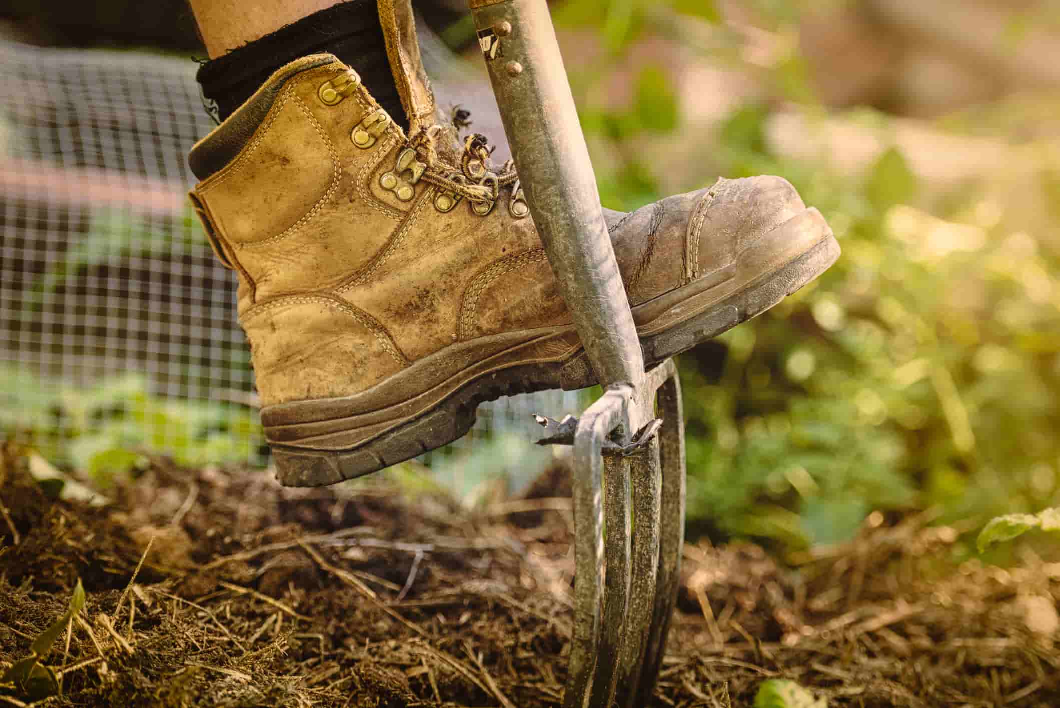 person working on a farm