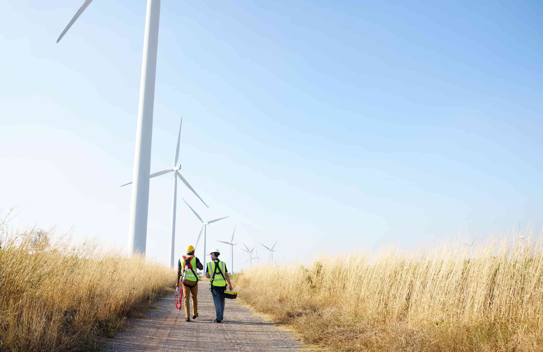 people walking in wind farms