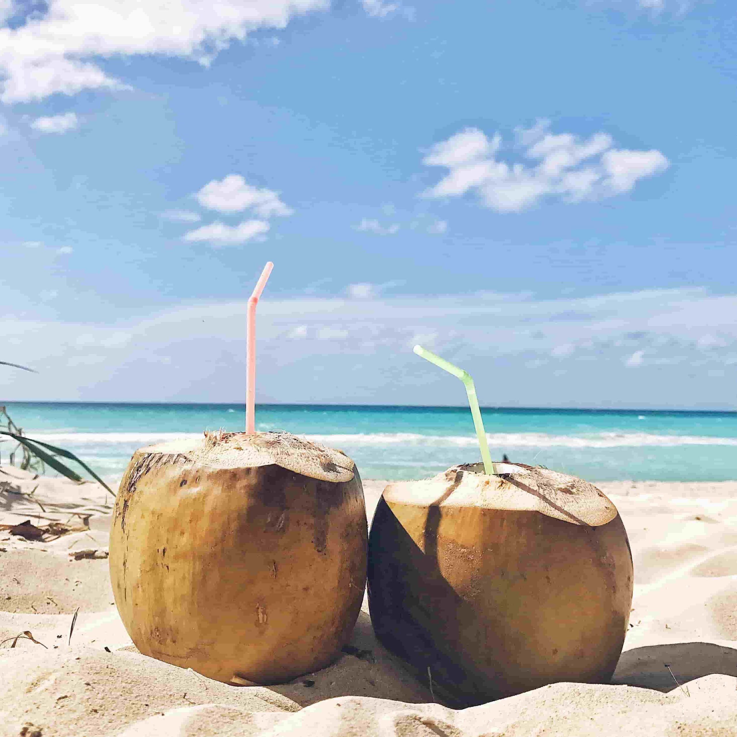 coconuts on beach