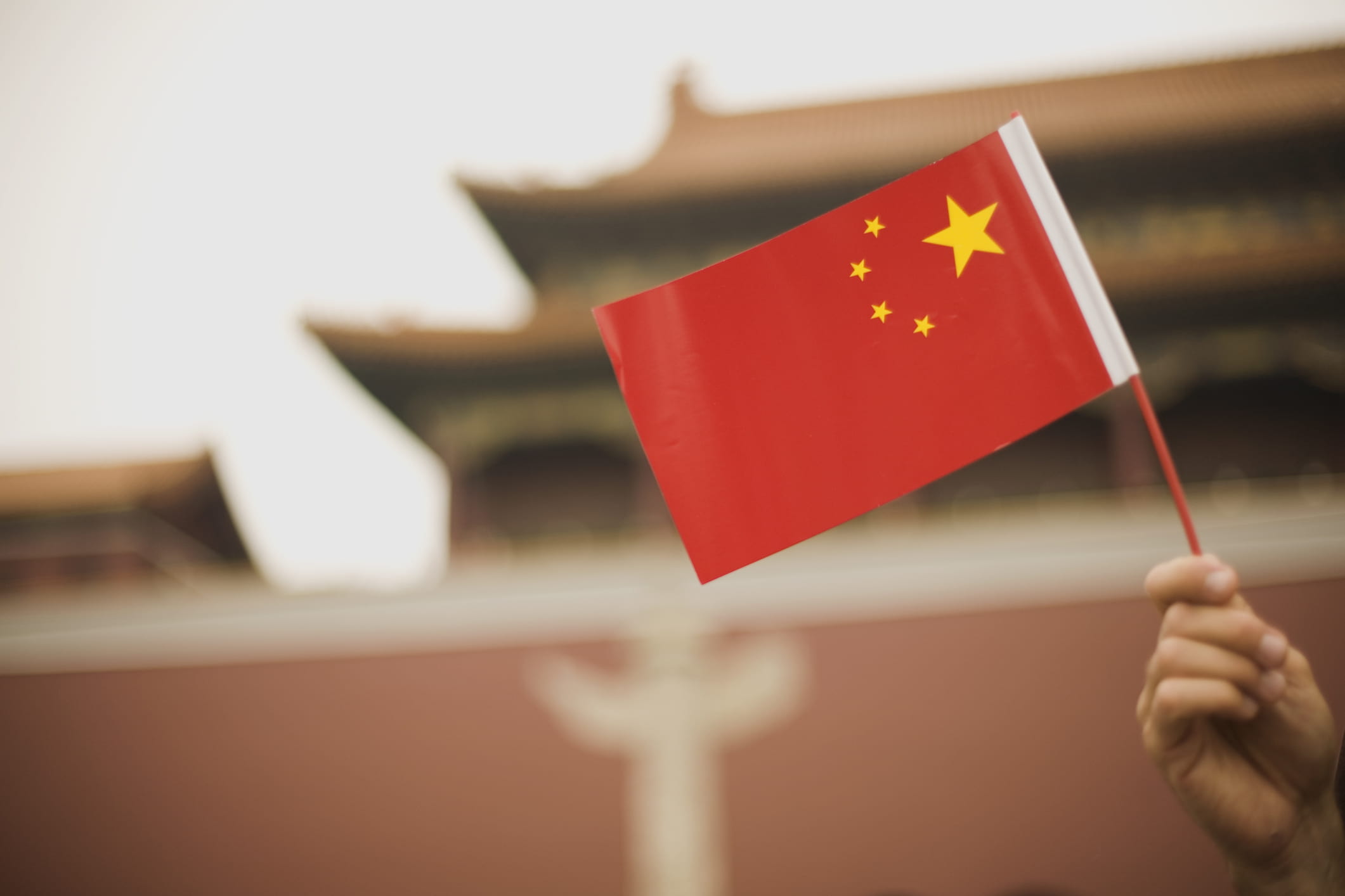 a person holding the Chinese flag