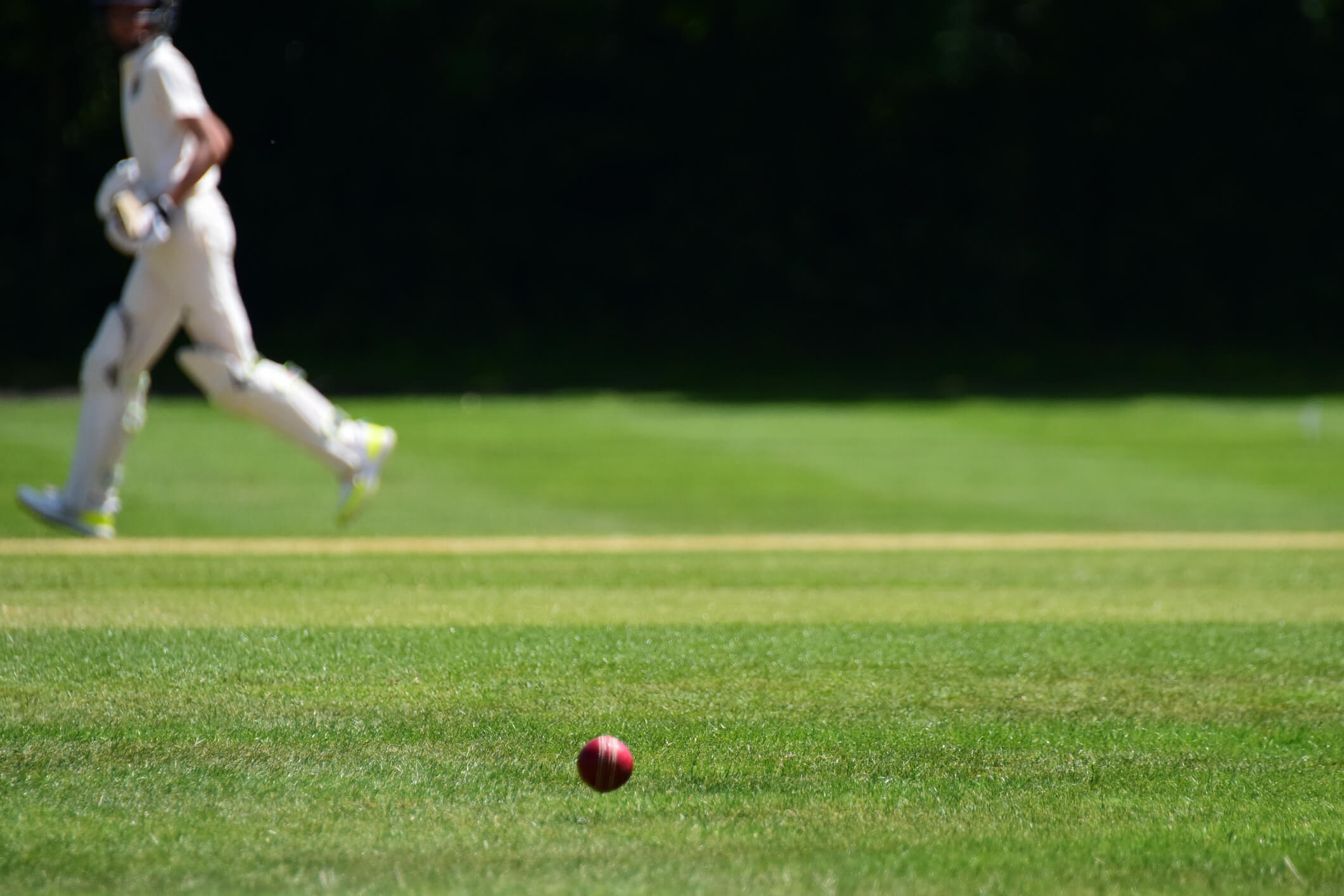 Cricket game player