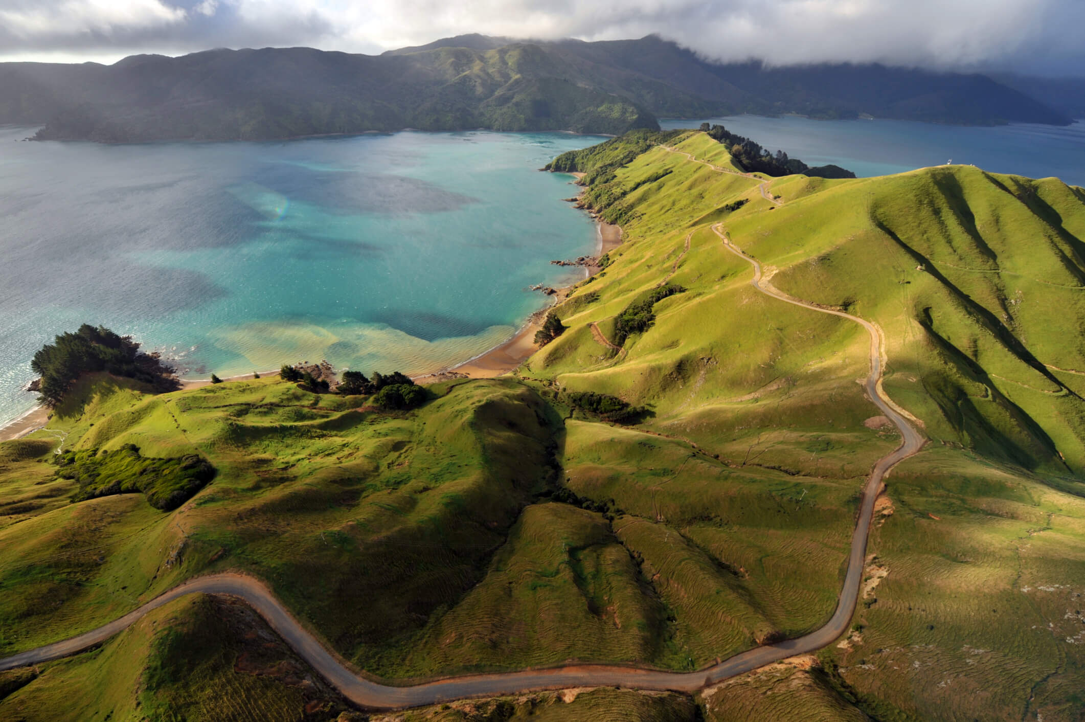 landscape of New Zealand nature