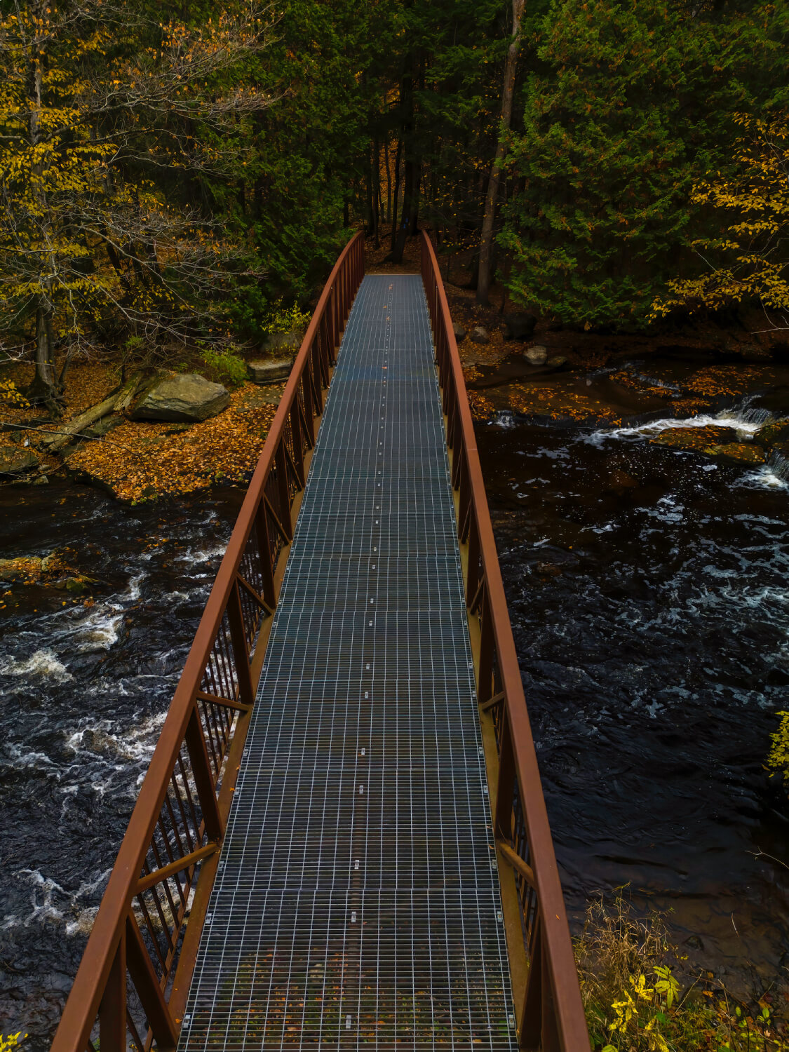 steel bridge above the Sydenham River in the forests of the Inglis Falls Conservation Area