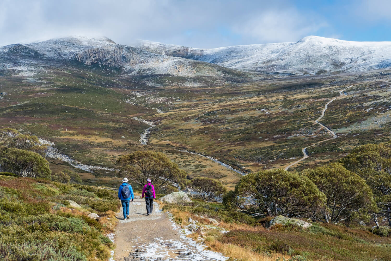 a couple walking on a hiking trail