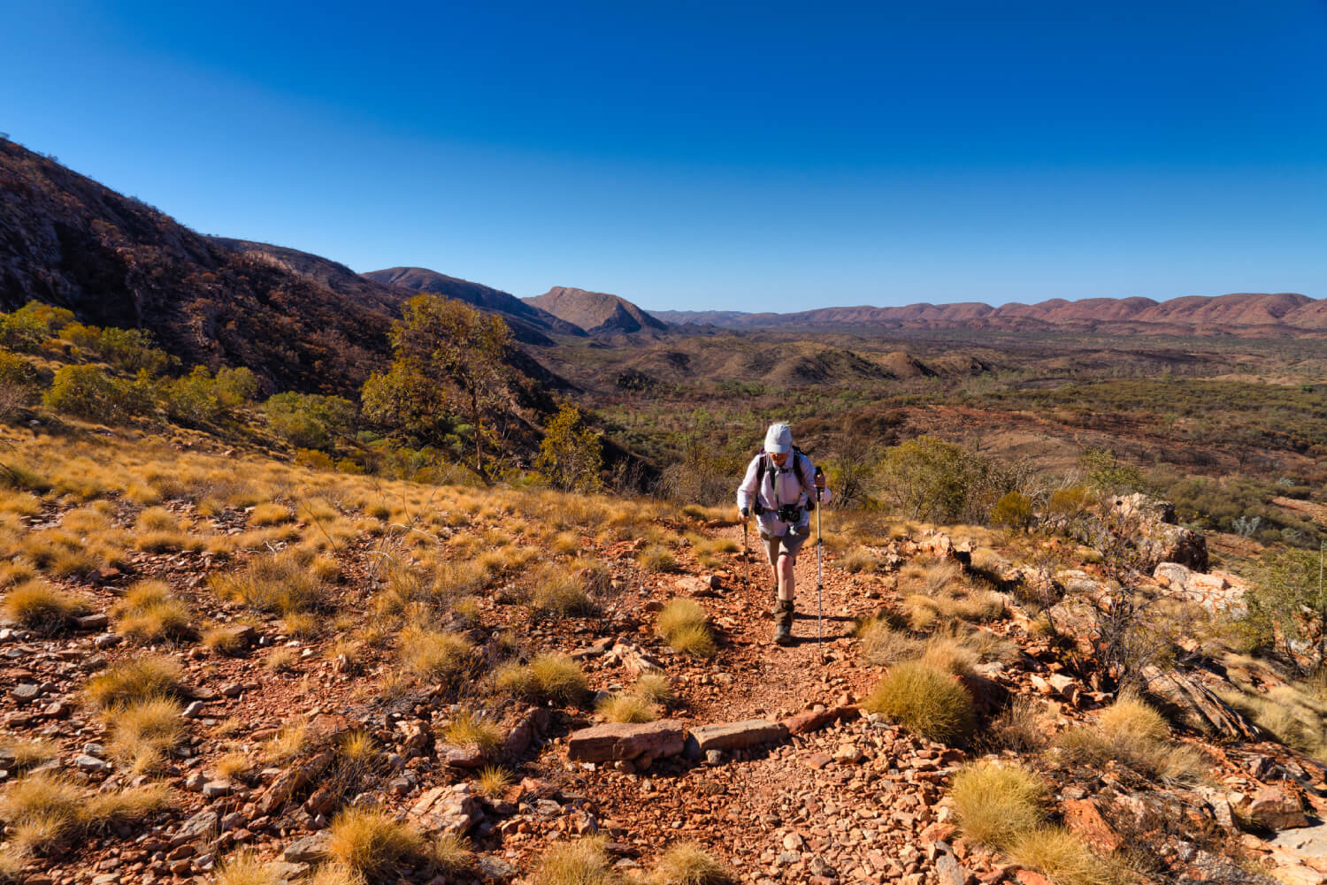 a person on a hiking trail