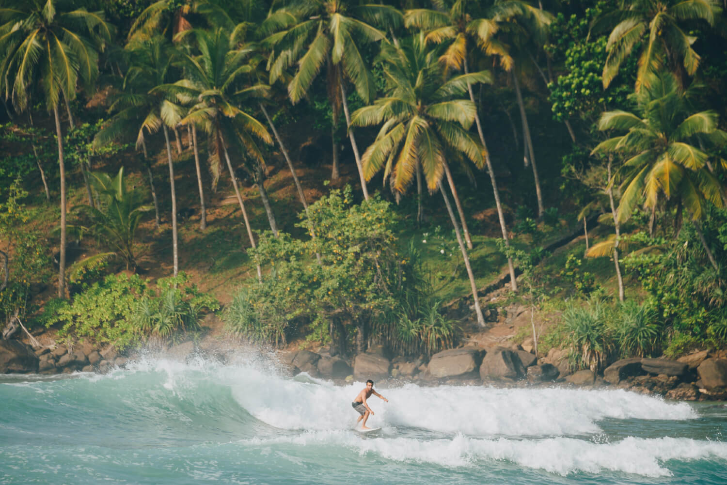 tourist surfing at the beach in Sri Lanka