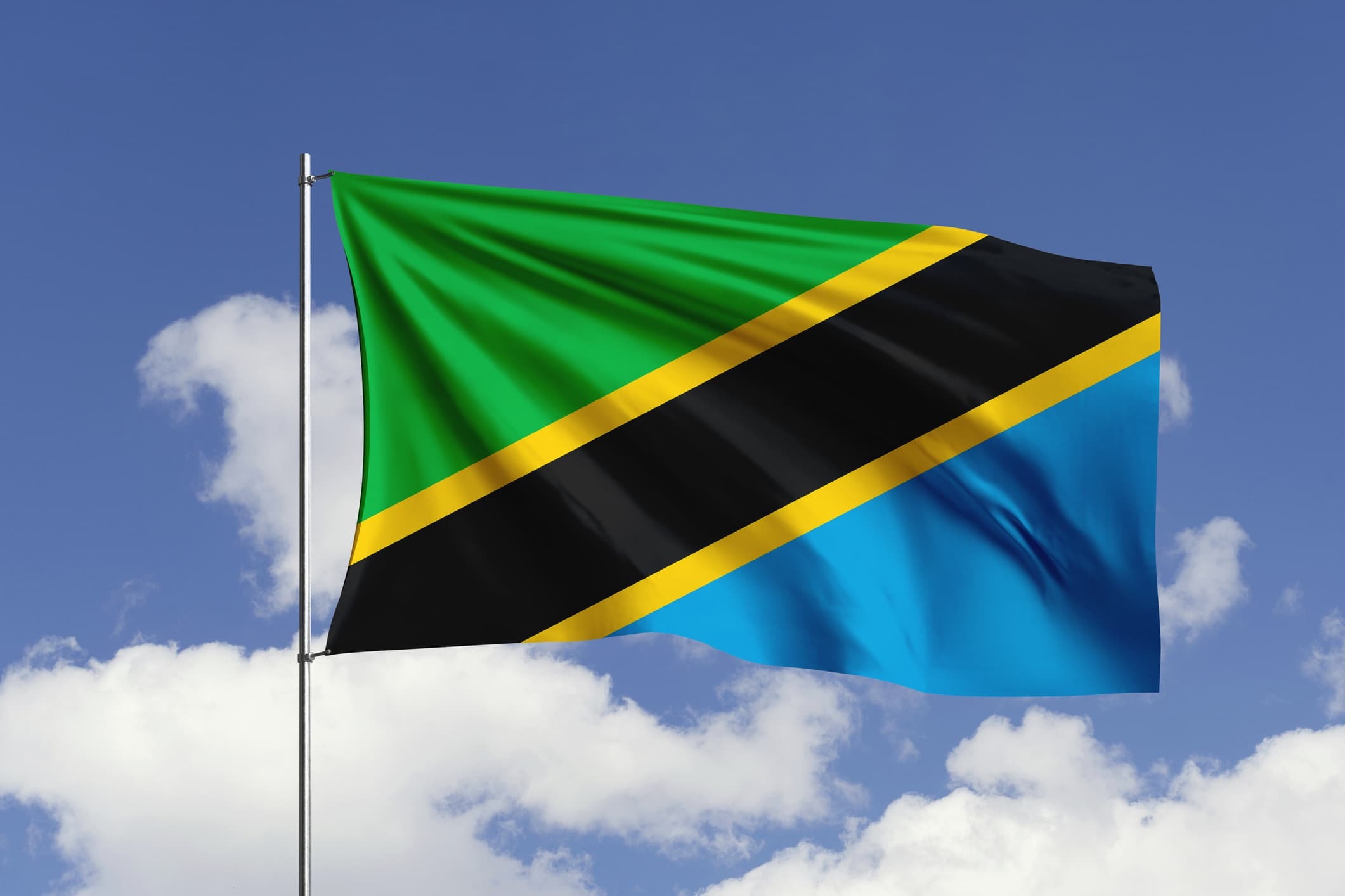 flag of Tanzania