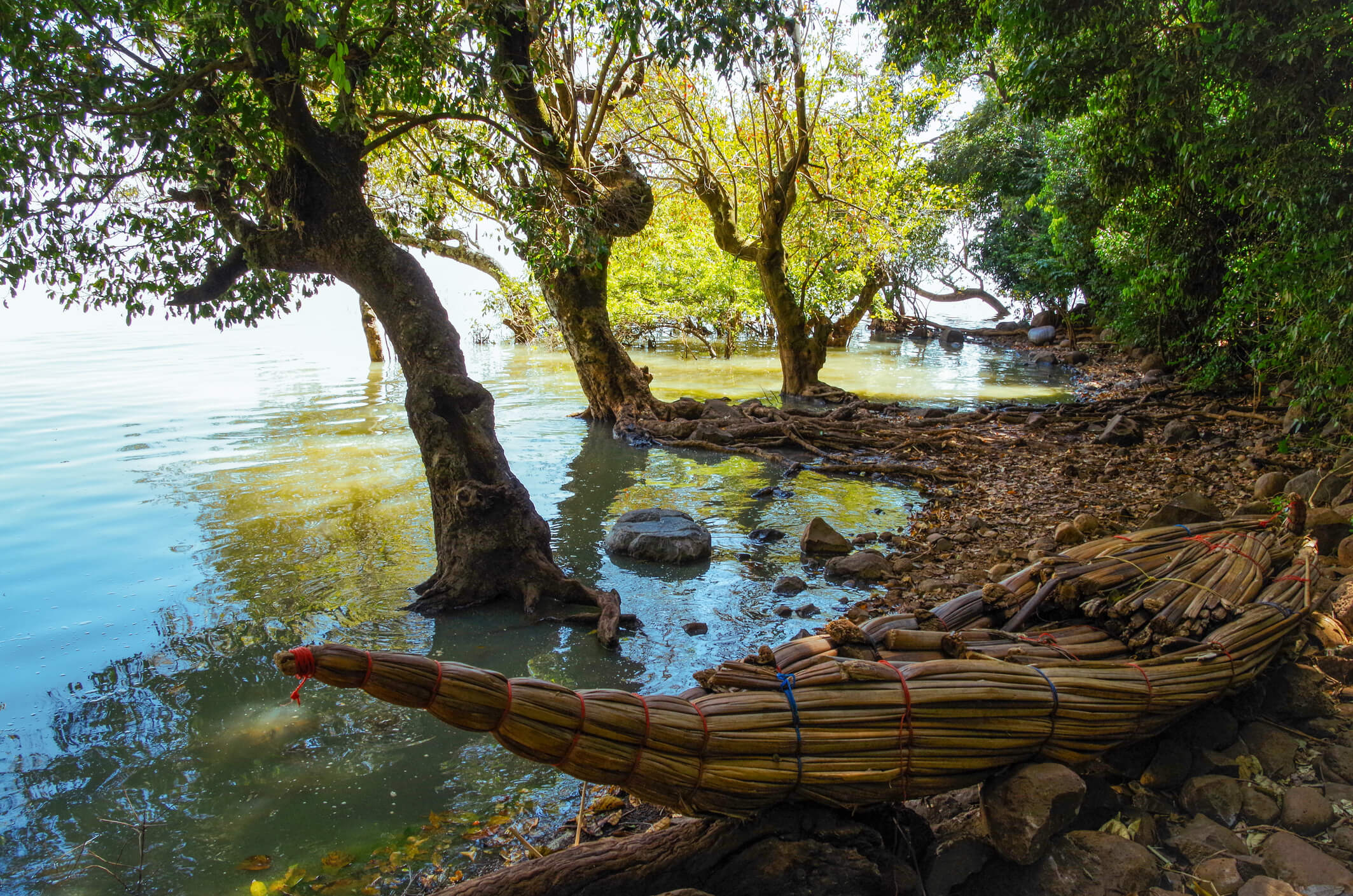 a wooden boat at the beach